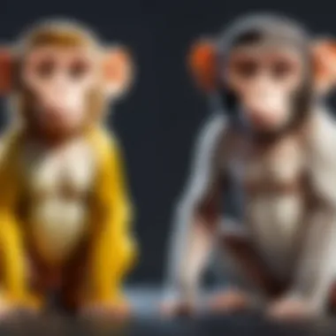 Pricing Models Comparison Visual representation of pricing models for Survey Monkey and Google Survey