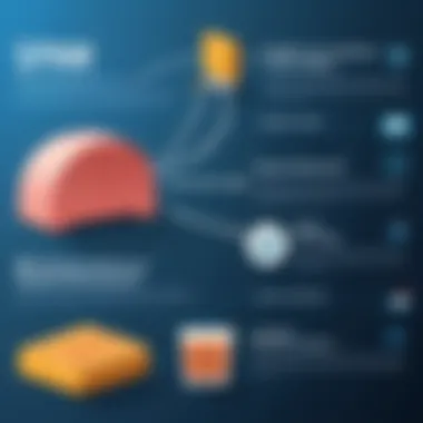 The Evolution of Spam Detection Technologies Infographic on the evolution of spam detection technologies