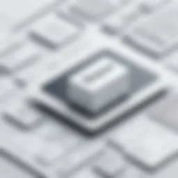 An overview of Typeform's branding capabilities.