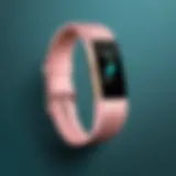 Fitbit Model Overview