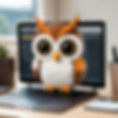 Effective communication using Hootsuite Inbox