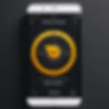 Norton Security App Interface on iPhone