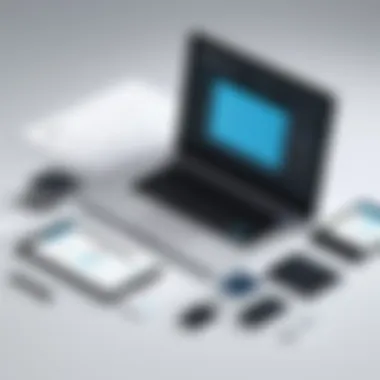 Visual representation of data collection efficiency using Typeform