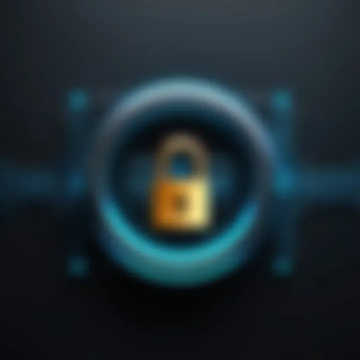 A digital lock symbolizing security in password management