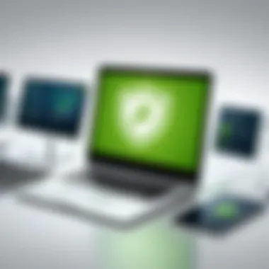 Overview of Webroot Business Endpoint Protection features